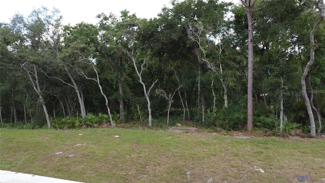 Baywood St, Altamonte Springs, FL 32701 - photo 5