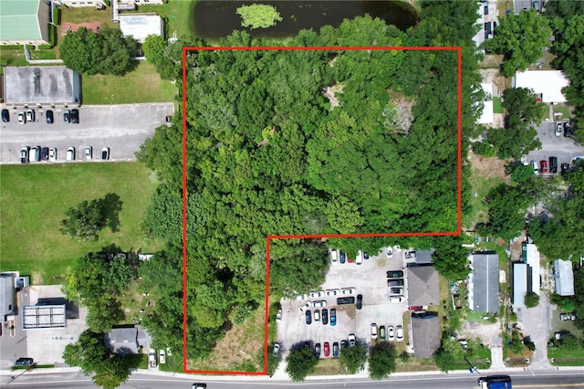 319 W Silver Star Rd, Ocoee FL, 34761 land for sale