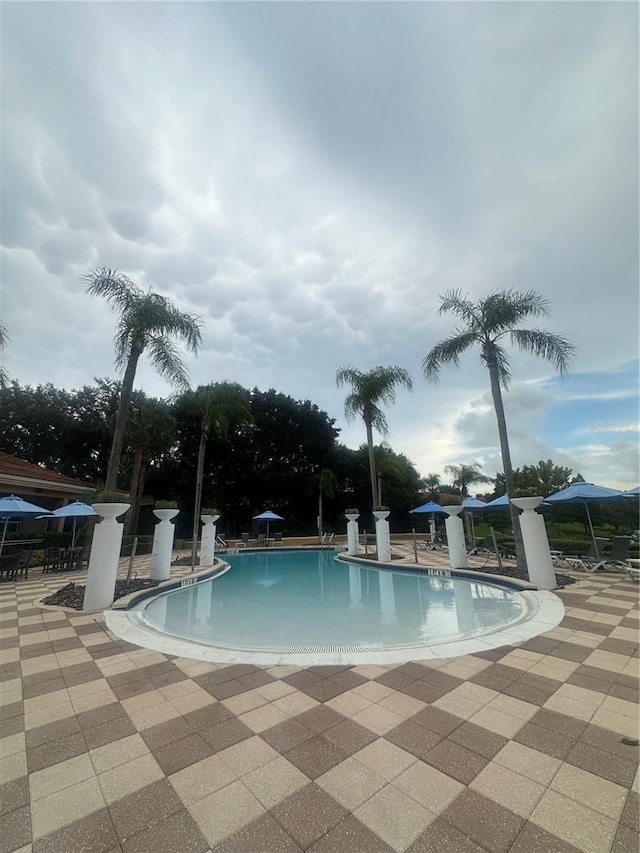 view of pool with a patio