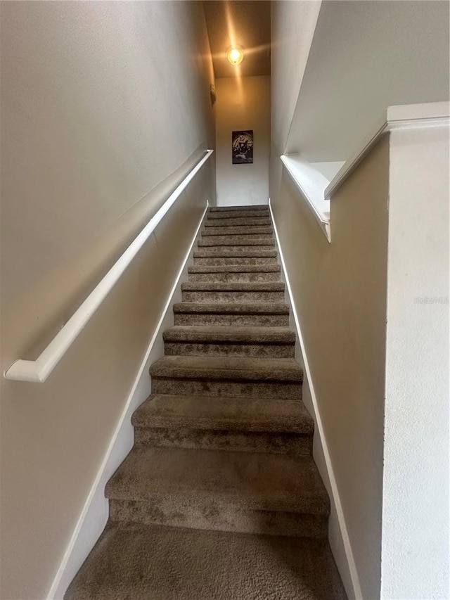 stairs featuring carpet flooring