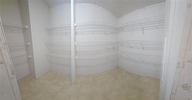 spacious closet featuring lofted ceiling and light colored carpet