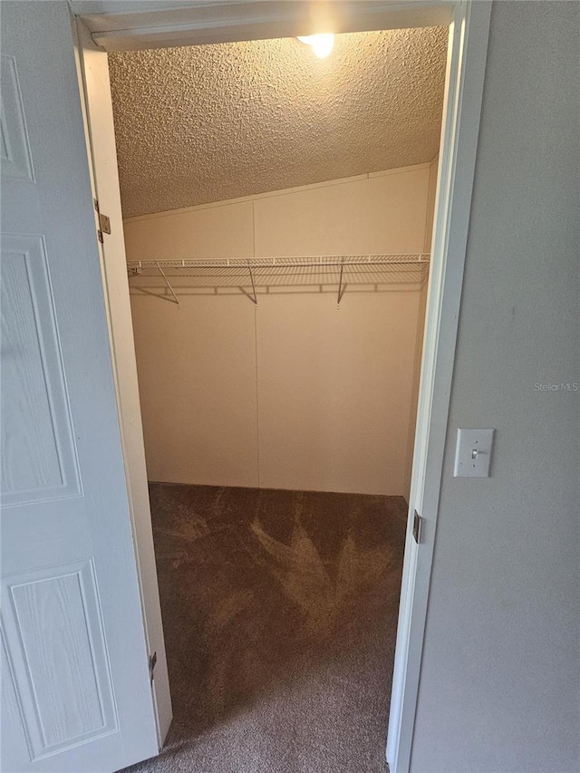 spacious closet featuring carpet