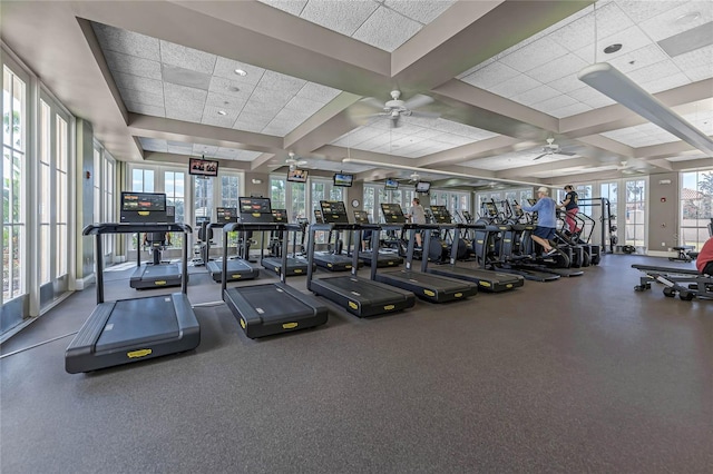 exercise room featuring ceiling fan, a drop ceiling, and coffered ceiling