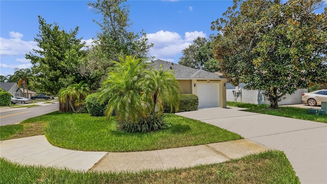 obstructed view of property with a front yard and a garage