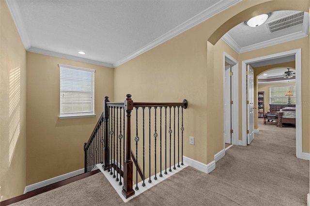 hallway featuring carpet floors and crown molding