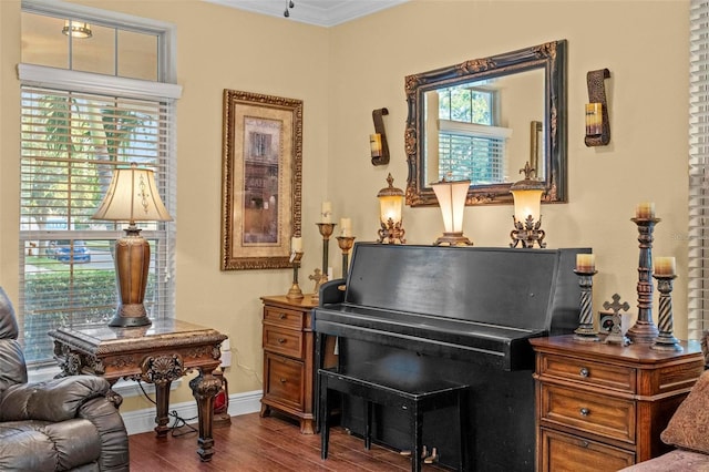 interior space featuring crown molding and dark wood-type flooring