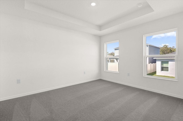 carpeted empty room featuring a healthy amount of sunlight and a tray ceiling