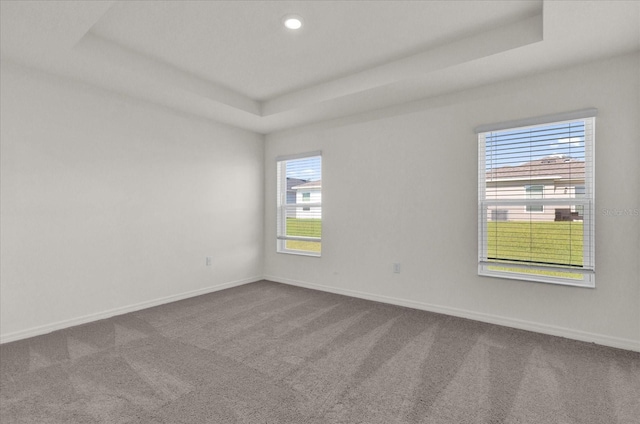 spare room featuring plenty of natural light, carpet flooring, and a raised ceiling