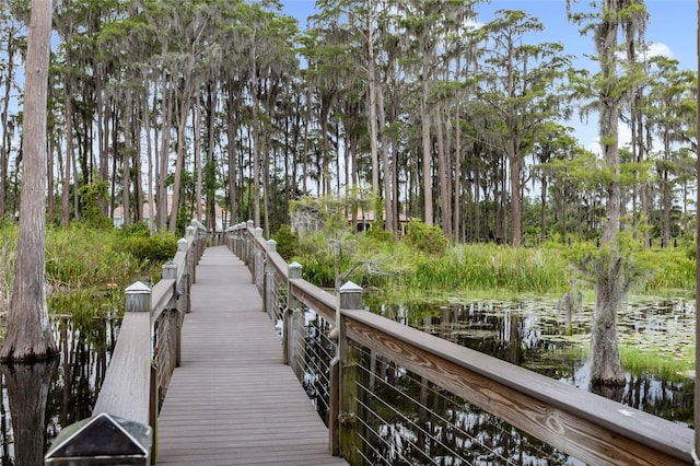 dock area with a water view