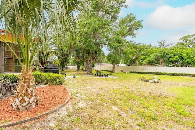 1546 Stormway Ct, Apopka, FL 32712 - view of yard