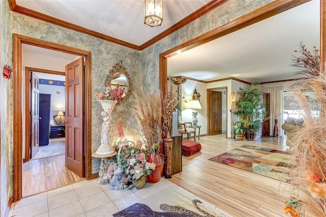 1546 Stormway Ct, Apopka, FL 32712 - hall featuring ornamental molding, wood finished floors, baseboards, and a textured ceiling