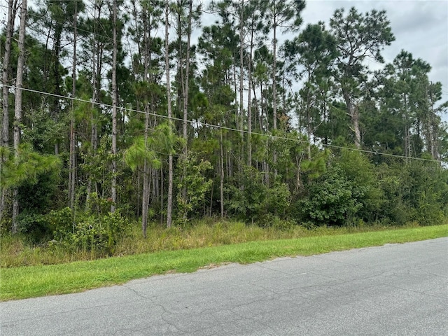 20607 Newby St, Orlando FL, 32833 land for sale