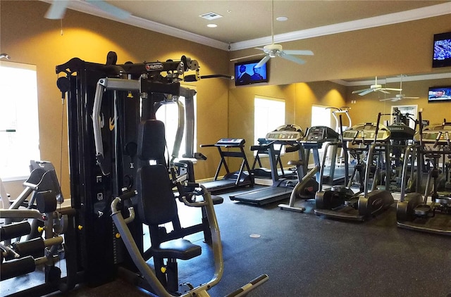 gym featuring ceiling fan and crown molding