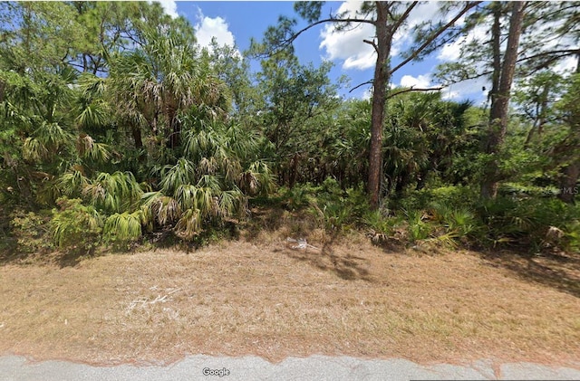 14270 Cain Ave, Port Charlotte FL, 33953 land for sale