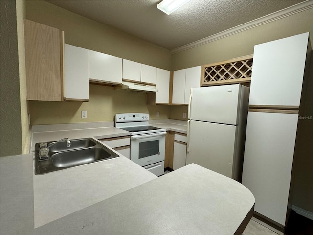 kitchen with sink, ornamental molding, white appliances, a textured ceiling, and white cabinets