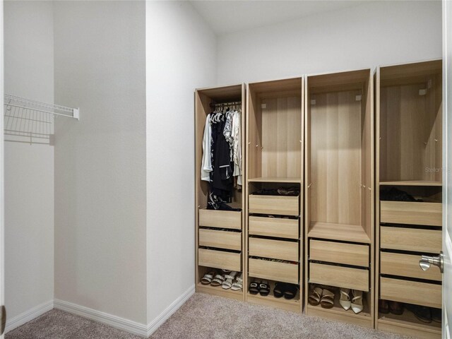 walk in closet featuring carpet flooring