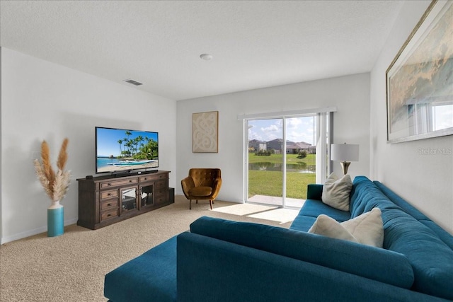 carpeted living room with a textured ceiling