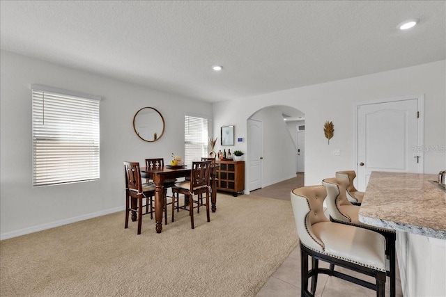 carpeted dining room featuring plenty of natural light and a textured ceiling