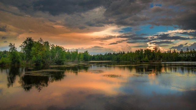 property view of water