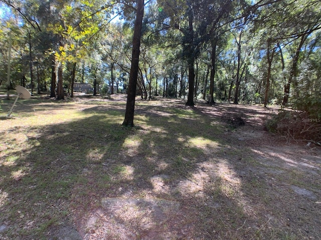 18420 NW 57th Ct, Reddick FL, 32686 land for sale