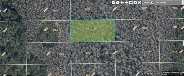 Dill Rd, Orlando FL, 32820 land for sale