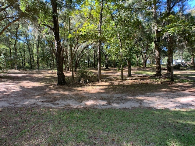 18430 NW 57th Ct, Reddick FL, 32686 land for sale