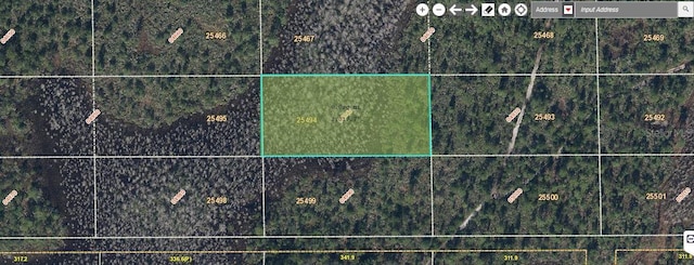 Dill Rd, Orlando FL, 32820 land for sale