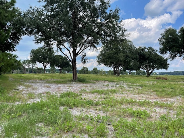 Listing photo 3 for County Road 450a, Umatilla FL 32784