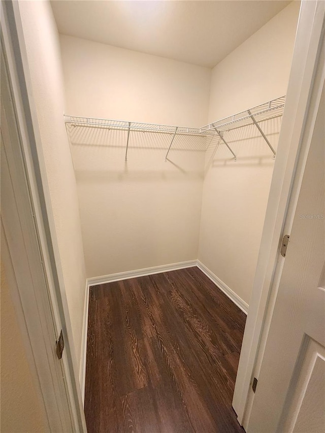 walk in closet with dark wood-type flooring