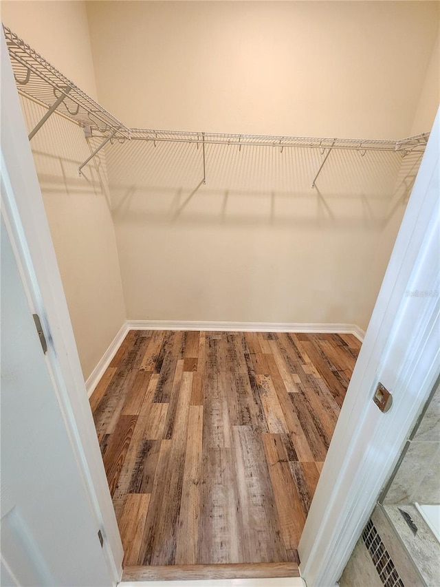 walk in closet with hardwood / wood-style flooring