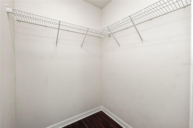 walk in closet with wood-type flooring