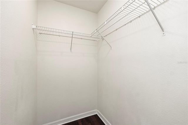 walk in closet with hardwood / wood-style flooring