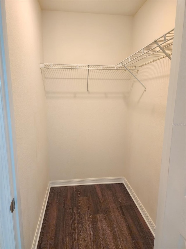 walk in closet with dark hardwood / wood-style floors