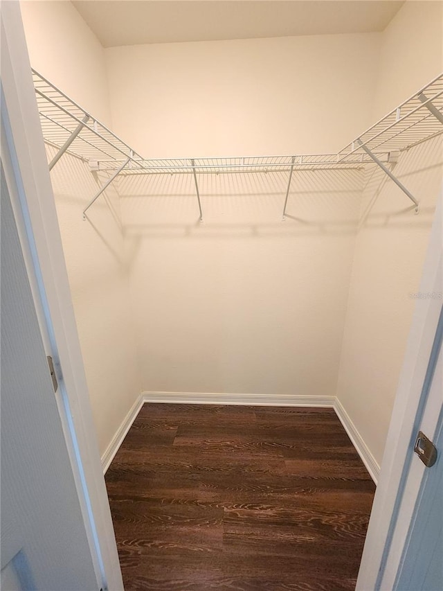 spacious closet featuring dark wood-type flooring