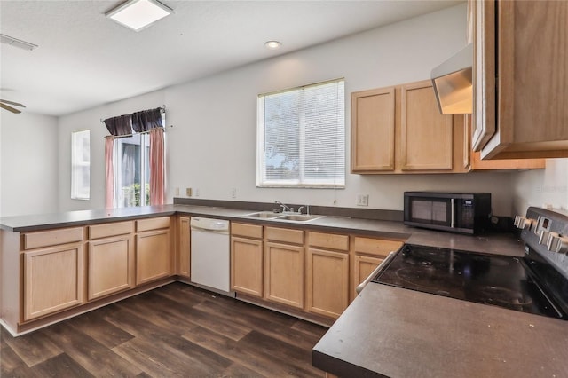 kitchen with kitchen peninsula, dishwasher, dark hardwood / wood-style floors, and stove