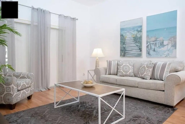 living room with hardwood / wood-style floors