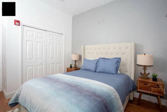 bedroom with hardwood / wood-style floors and a closet