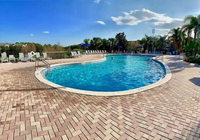 view of pool featuring a patio