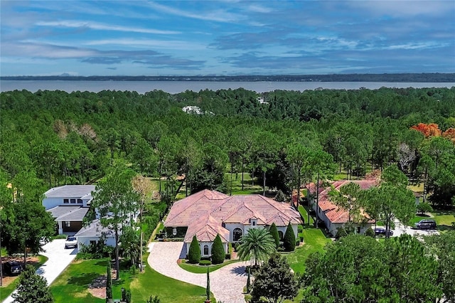 birds eye view of property with a water view and a view of trees