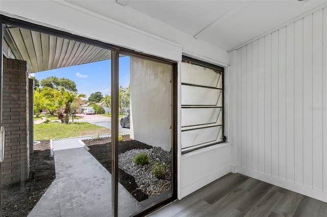 doorway featuring dark hardwood / wood-style floors and plenty of natural light