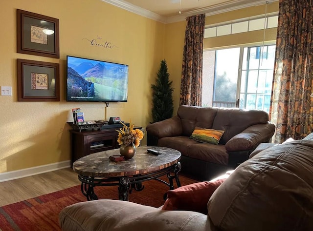 living room with crown molding and wood-type flooring