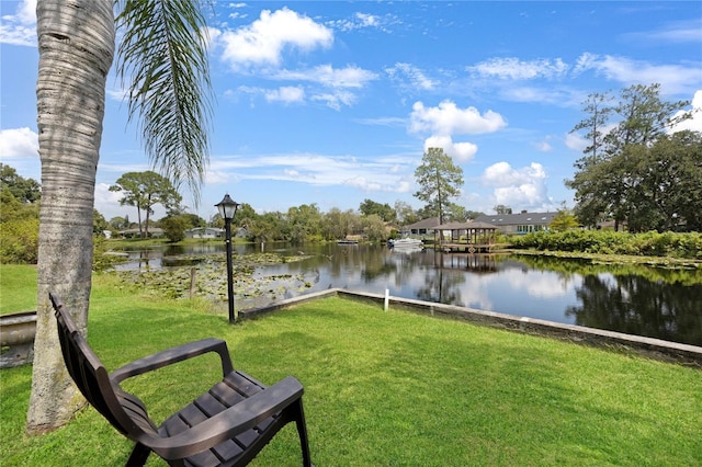 dock area with a yard and a water view