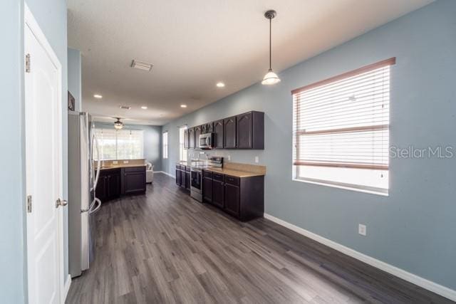 kitchen with ceiling fan, dark hardwood / wood-style flooring, stainless steel appliances, and dark brown cabinets