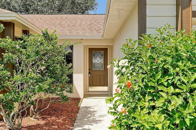 entrance to property featuring a shingled roof and stucco siding