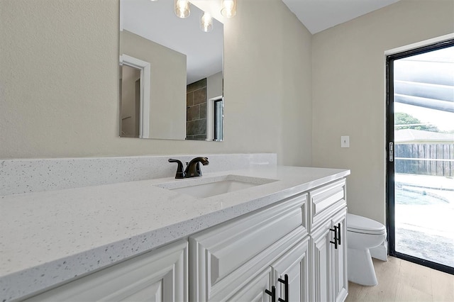 bathroom with toilet, vanity, and wood-type flooring