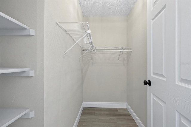 walk in closet with hardwood / wood-style flooring