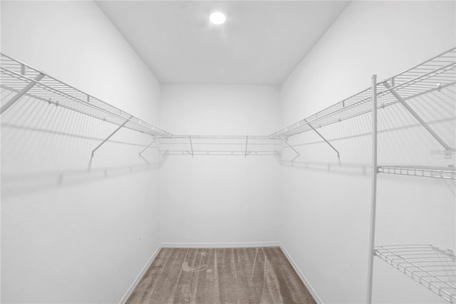 spacious closet with carpet flooring