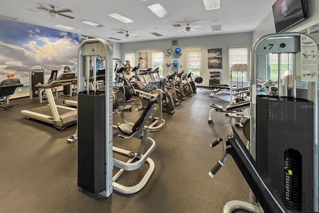 exercise room featuring ceiling fan and a healthy amount of sunlight