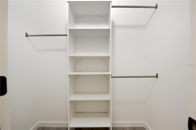 spacious closet with wood-type flooring