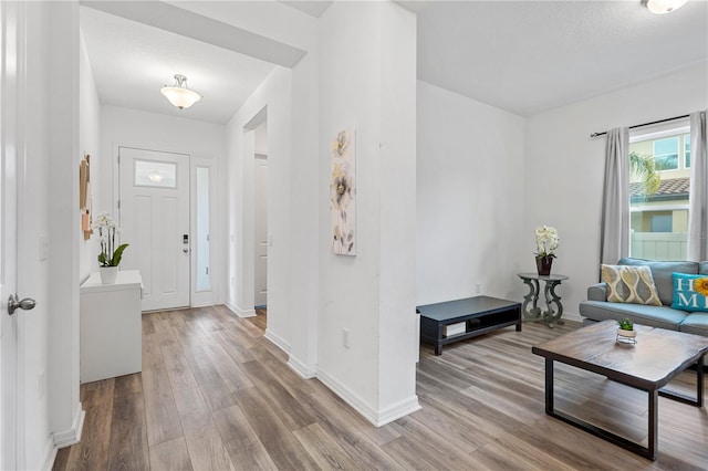 entrance foyer with wood finished floors and baseboards